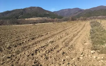 Auction image Farmland
