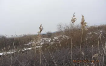 Auction image Farmland