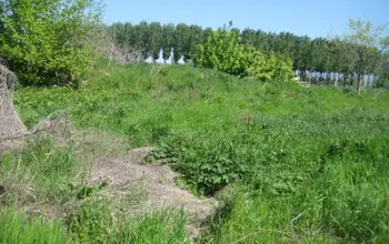 Auction image Farmland