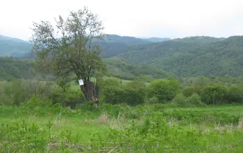 Auction image Land for building