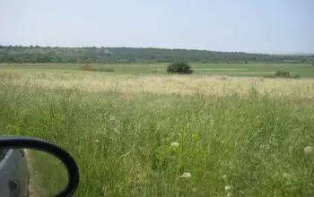 Auction image Farmland