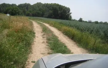 Auction image Farmland