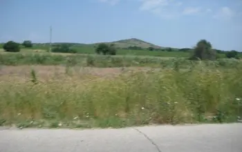 Auction image Farmland