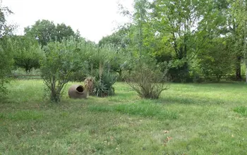 Auction image Парцел (ПИ, УПИ, двор)