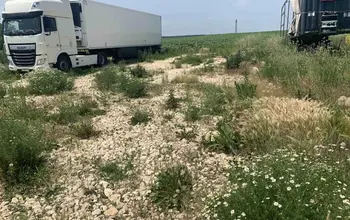 Auction image Land for building