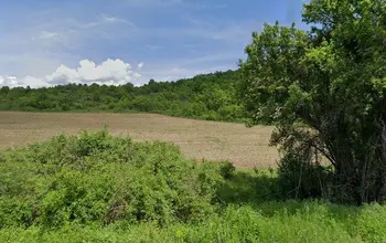 Auction image Farmland