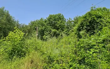 Auction image Парцел (ПИ, УПИ, двор)