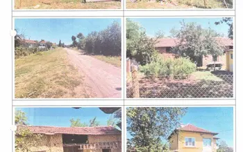 Auction image House