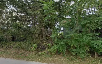 Auction image Други