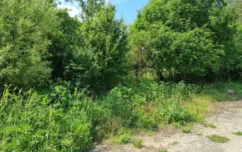 Auction image Парцел (ПИ, УПИ, двор)