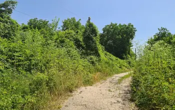 Auction image Land for building