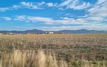 Auction image Farmland