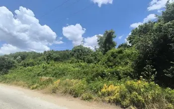 Auction image Парцел (ПИ, УПИ, двор)