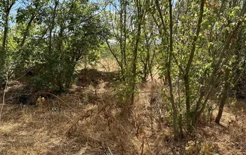 Auction image Land for building