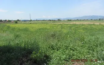 Auction image Land for building