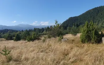 Auction image Farmland