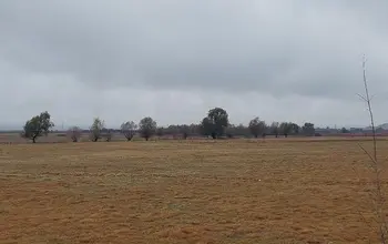 Auction image Farmland