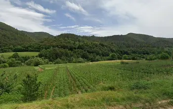 Auction image Land for building