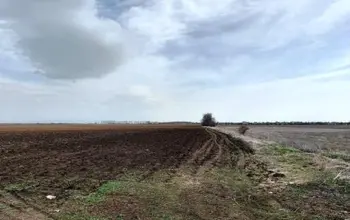 Auction image Farmland