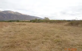 Auction image Farmland