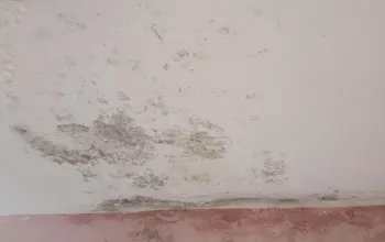 Auction image 2 bed flat