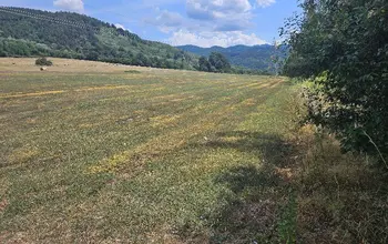 Auction image Farmland