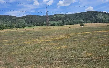 Auction image Farmland