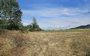 Auction image Farmland