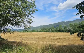 Auction image Farmland