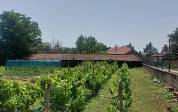 Auction image Парцел (ПИ, УПИ, двор)