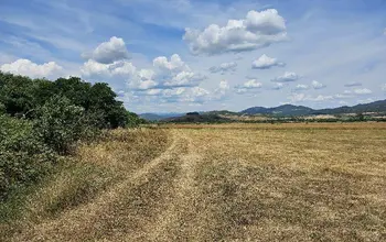 Auction image Farmland