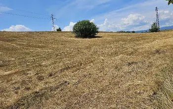 Auction image Farmland