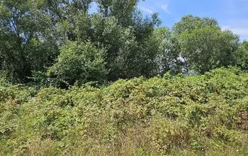 Auction image Farmland