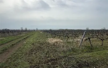 Auction image Земеделска земя/имот, ферма, парник/оранжерия