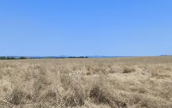 Auction image Farmland