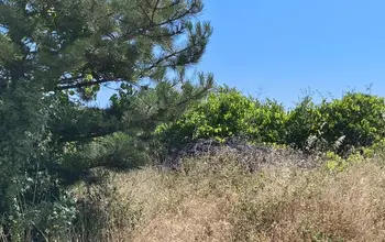 Auction image Farmland