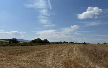 Auction image Farmland