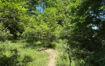 Auction image Farmland