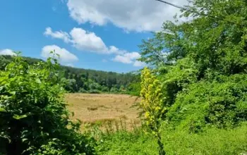 Auction image Land for building