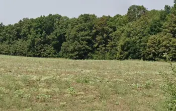 Auction image Farmland