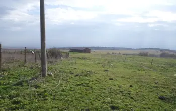 Auction image Warehouse