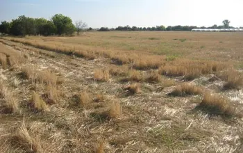 Auction image Земеделска земя/имот, ферма, парник/оранжерия