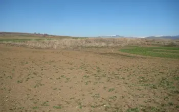 Auction image Farmland