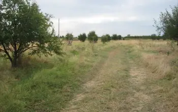 Auction image Farmland