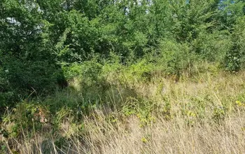 Auction image Land for building