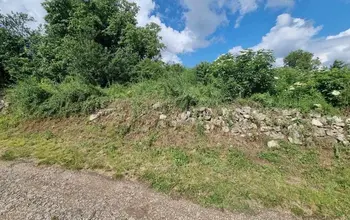 Auction image Къща