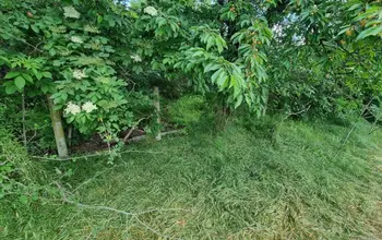 Auction image Къща