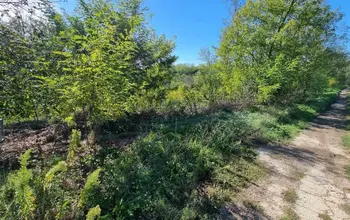 Auction image Парцел (ПИ, УПИ, двор)