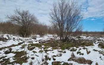 Auction image Парцел (ПИ, УПИ, двор)