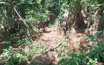 Auction image Къща